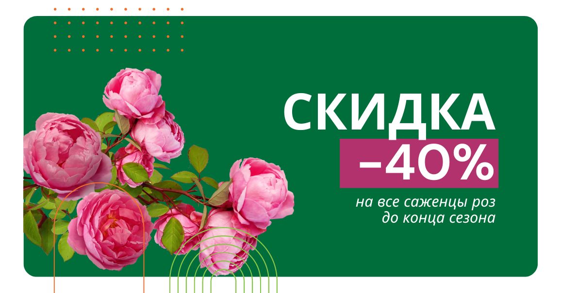 СКИДКА -40% на розы